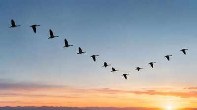 2026 study solves a 150-million-year-old mystery: Scientists discover how the first bird learned to fly