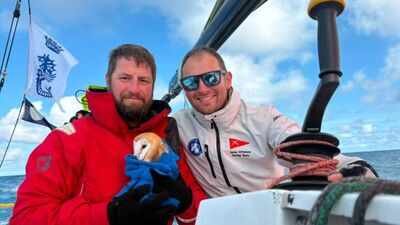 Sergeant Mark Petherbridge (L) and Captain Tom Court (R) with rescued barn owl, Little Regina, aboard Fujitsu British Soldier (Reuters photo) A tiny owl flew 70 miles out to sea and collapsed on a yacht, exhausted and too weak to fly, she found an unlikely group of rescuers who refused to leave her behind