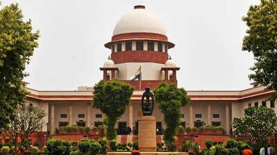 Supreme Court's order provided interim relief to the Tamil Nadu government ‘Shouldn’t govt give employment?’ Supreme Court stays HC order on jobs for Karur stampede victims' kin