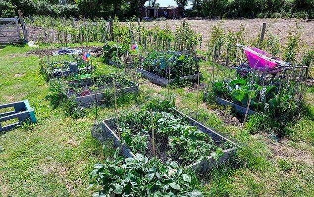 Tara Dexter transformed a £57K dumping ground into a beautiful countryside property filled with animals, plants and wildlife.