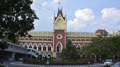The Calcutta high court heard a public interest litigation challenging mandatory Vande Mataram stanzas. 'Heavens won’t fall if all 6 Vande Mataram stanzas sung in madrassas': Calcutta high court