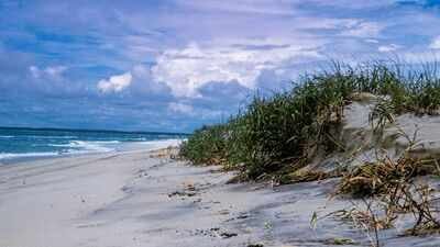 The island was protected as a National Seashore in 1965. (Picture: NPS) In the early 1960s, developers sold 5,850 lots for a private resort on Assateague Island; one five-day storm wiped out nearly every house and helped turn it into a national seashore