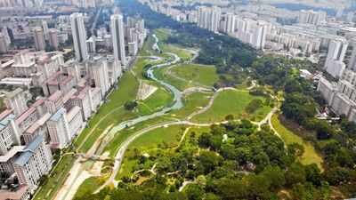 In 2012, Singapore replaced a 2.7 km concrete drainage channel with a 3 km winding river; biodiversity in the park increased by 30%
