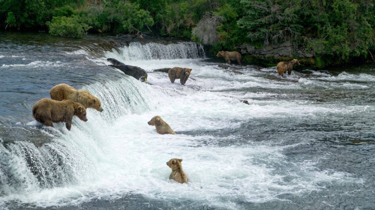 The large gatherings appear to be one reason the livestream has attracted so much attention<br>