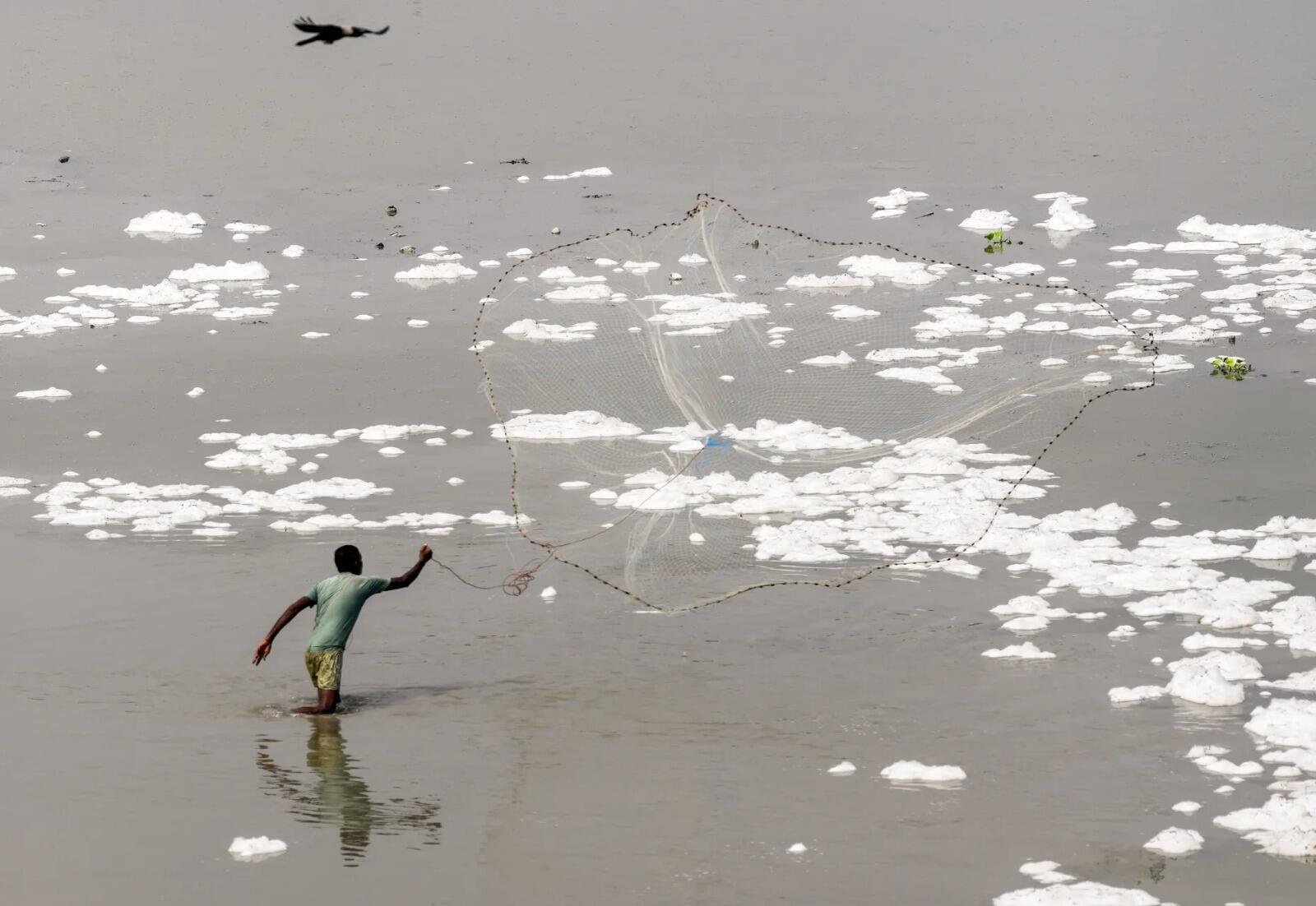 The researchers say feeding behaviour, habitat preference and proximity to polluted urban stretches influence the amount of plastic accumulated inside different fish species.<br>