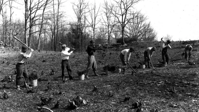 Tree plantation undergoing at Springwood (Image Credit: FDR Library Photo via National Park Service) In 1943, Franklin Roosevelt gave his family home and 33 acres to the US government while retaining family rights to live there; he had expanded the estate to nearly 1,500 acres and planted over 500,000 trees