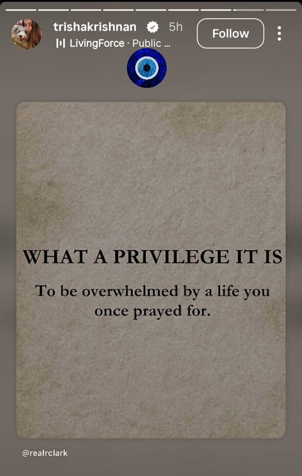 Trisha shared another post on her Instagram story
