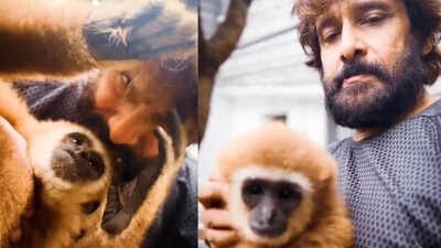 Chiyaan Vikram faces online backlash over Lar Gibbon video, actor deletes post as questions about exotic animal ownership and wildlife claims surface