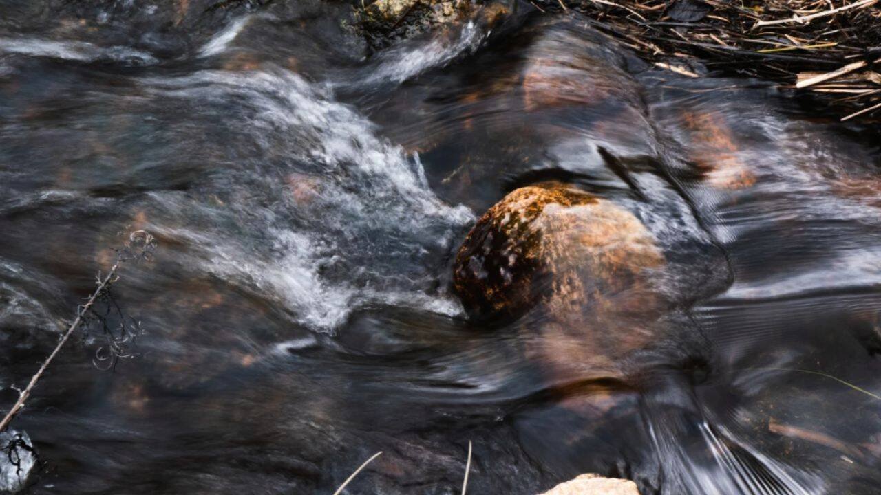 Water flows down a stream at Tidmarsh Wildlife Sanctuary