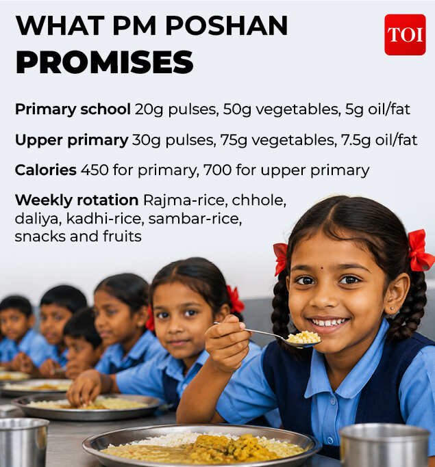 What PM Poshan promises