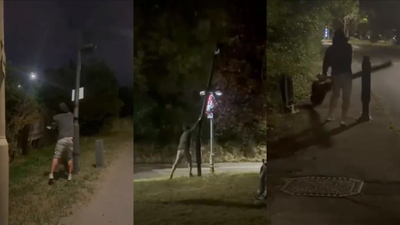 Image credit: X (Twitter) From Florida to California, why Americans are vandalising Flock surveillance cameras across the country