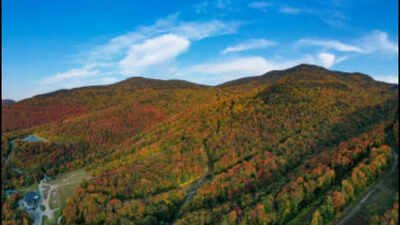 With support from the Trust for Public Land, the Vermont Fish & Wildlife Department plans to secure the timber rights covering 949 acres of the Snake Mountain Wildlife Management Area (WMA). In 1959, Vermont bought Snake Mountain land but the seller kept timber rights; 67 years later the state plans to secure 949 acres of those rights and add 256 acres