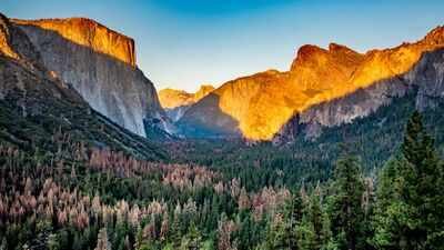 Yosemite National Park A hidden wonder in Yosemite was disappearing for more than 100 years, in 2023, a massive restoration began filling a 3.5-mile erosion gully with 162,000 cubic yards of soil and woodchips, restoring 94 acres of lost wetlands
