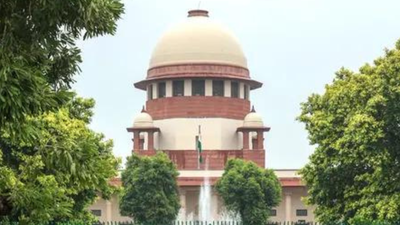 Supreme Court Thursday underscored the importance of the quality of teachers Council can seek appraisals from teachers' institues: SC