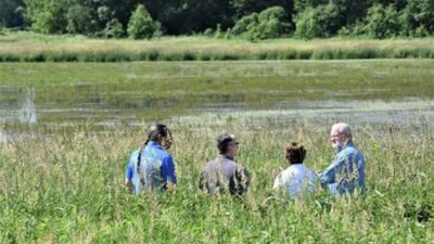 Restored natural wetland habitat. Source: Farmers.gov In 1993, his father tried to turn a troublesome field back into wetland; 33 years later, his son restored nearly 48 acres and wildlife returned