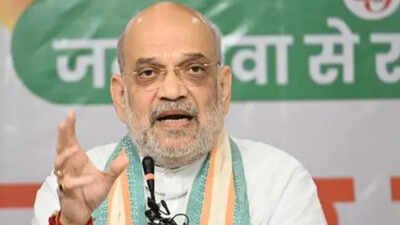 Amit Shah On Shah's UCC claim, 3 BJP allies sound caution