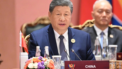 Xi suffered stroke & fainted at Brics Summit, claims China Democracy Party chief; post gets community note