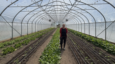 (Source: Aaron Shellow-Lavine/WAMC) In 2010, a financially ruined couple started farming on leased land; after hitting $100,000 on one-third acre in New York, their farm now pushes nearly $700,000 a year from mostly 2.5 acres