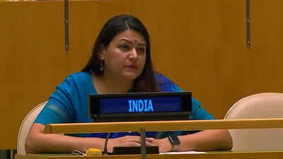 India flays Pakistan at UN 'Hypocritical homilies about democratic rights': India flays Pakistan at UN