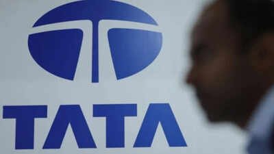 Tata Group watchers said the orders Srinivasan sought, if granted, could incapacitate SDTT too. Tata Trusts file caveat before Maharashtra charity commissioner