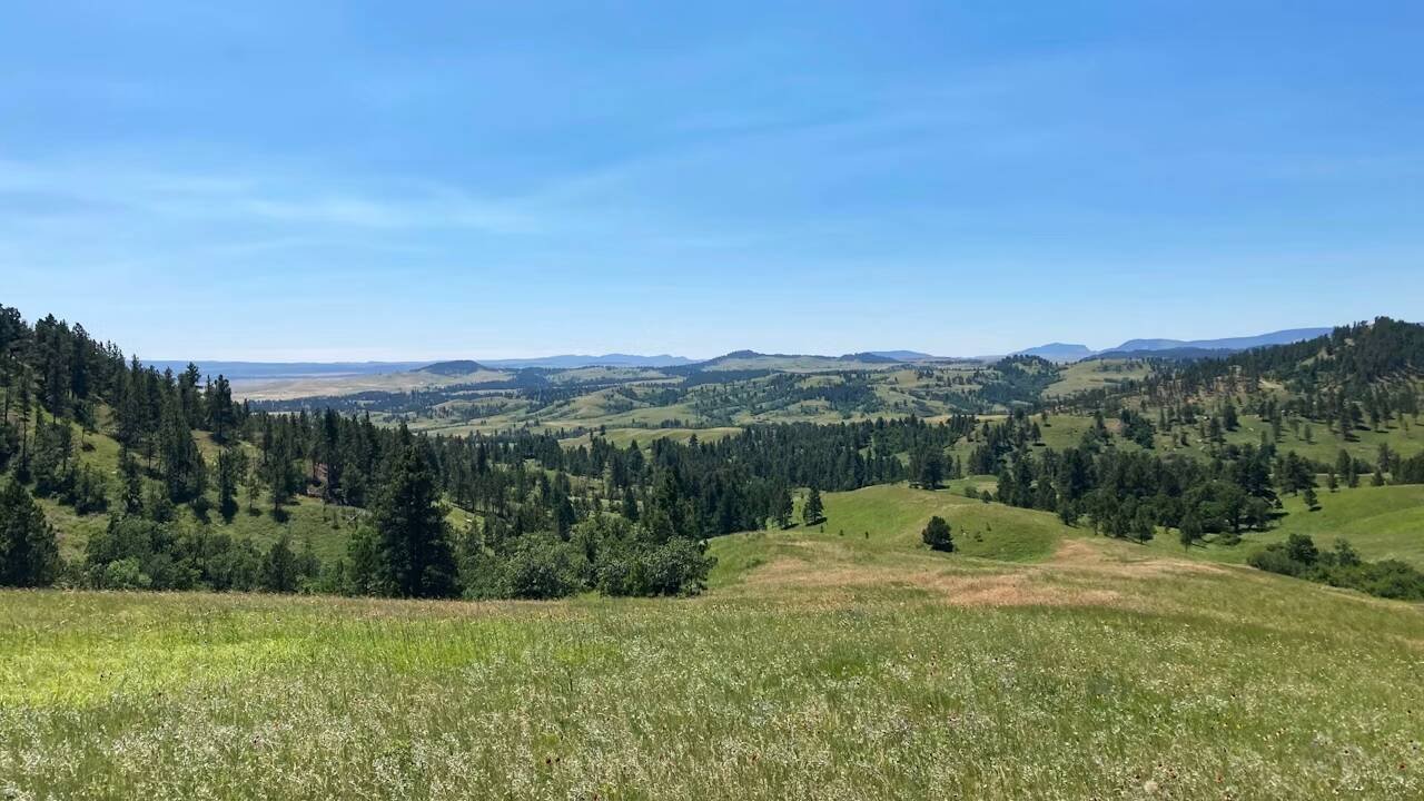 A dying mother’s wish protects 2,506 acres