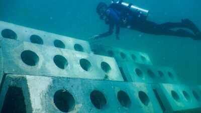 A hybrid artificial reef structure (Representational photo from a 2023 study- University of Miami) In 1998, researchers built 12 reefs off Miami Beach using limestone, concrete and concrete mixed with waste tyre chips; divers later counted 97,826 fish from 146 species