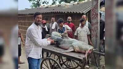 A large unusual fish caught in the floodwaters of the Gandak basin being examined by locals at Valmikinagar in West Champaran Nepal floods bring 'unusual' fish to Bihar, govt warns people not to eat or sell them
