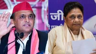 'Against EVMs even if we win all seats': Akhilesh, Mayawati express distrust, cite US, Germany