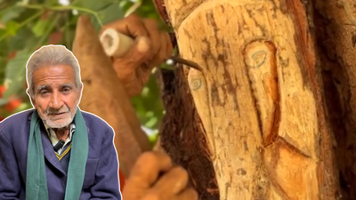 Ali spent his youth as a daily wage worker in Mumbai and Madhya Pradesh. Meet Ishtiaq Ali: 85-year-old artist from Lucknow who carves Hindu gods on living trees without harming them; “When I sleep, I see Devi-Devtas…”