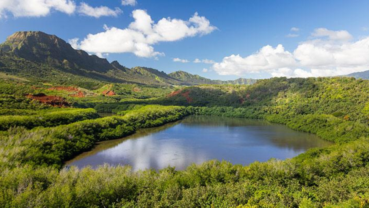 An ancient fishpond with a deep cultural history<br>