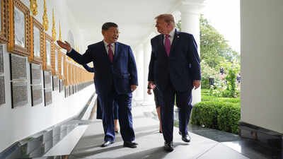 America laughs as Trump pivots from 'Kung Flu' to hug Xi’s panda diplomacy