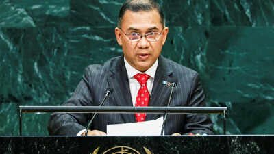 Bangladesh's Prime Minister Tarique Rahman Bangladesh to replace planned sculptures at historic sites