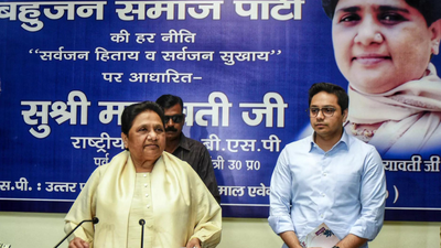 Mayawati said Akash Anand, the BSP's national coordinator, would continue to work in the party. (File Photo) ‘Akash Anand needs to become more mature’: Mayawati rules out major BSP role for nephew