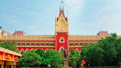 Calcutta HC HC raps Bengal govt for detaining Murshidabad man on mere suspicion he was Bangladeshi