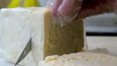 FSSAI regulation on analogue paneer, cheese FSSAI proposes to ban 'paneer' label for substitute products, ensure strict disclosure