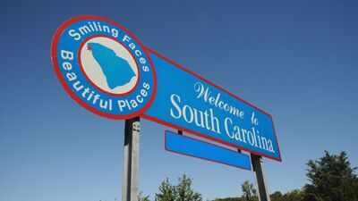 Representative image from Canva A conservation group bought nearly 2,000 acres of South Carolina forest before development could reach it; the land has now been transferred to the US government and permanently added to Sumter National Forest