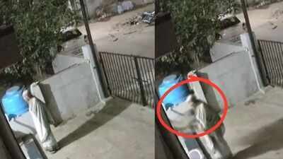CCTV footage showed the monkey attacking the elderly woman. 91-year-old woman dies after monkey attacks, pushes her in Karnataka