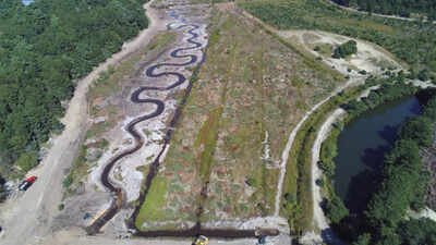 Century Bog was previously a working cranberry bog. (Photo: Cape and islands) Massachusetts is turning a retired cranberry bog into the final restored link along Red Brook; the project is designed to protect a rare brook trout that moves between freshwater and the ocean