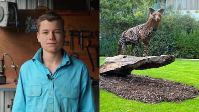 Charlie was given his first drill at two years old. A glimpse of the scrap-metal wolf made by him. A 14-year-old Australian turns discarded tools into animal sculptures and has sold a scrap-metal wolf for $8,000; he is now the youngest artist in a major open-studio event