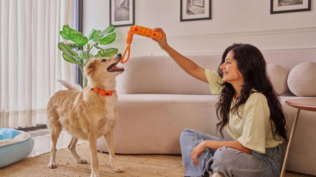 Choosing pets instead of children can reflect personal priorities<br>