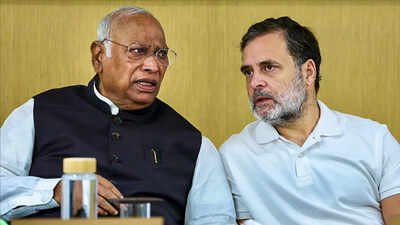 SIR row: At CWC meet, Rahul Gandhi credits Congress for EC 'revelations', gives 'oppose and resist' message