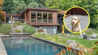 In 2019, a New York couple bought a $1.825M Ridge home for their bearded Collie; after spending another $2M on renovations, ‘Buster’s Retreat’ is now listed for $2.9M