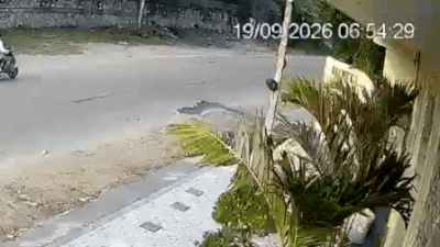 The deceased was identified as Naval Sharma (Visuals-Social Media) Caught on camera: Speeding Thar rams into scooter, 57-year-old dies