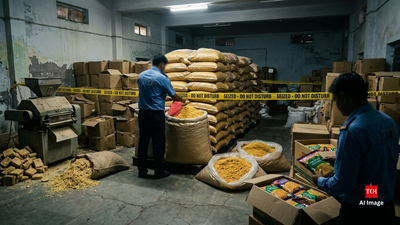 Wai Wai bhujia under FSSAI scanner: Ajmer firm told to stop production, 32,000kg stock seized