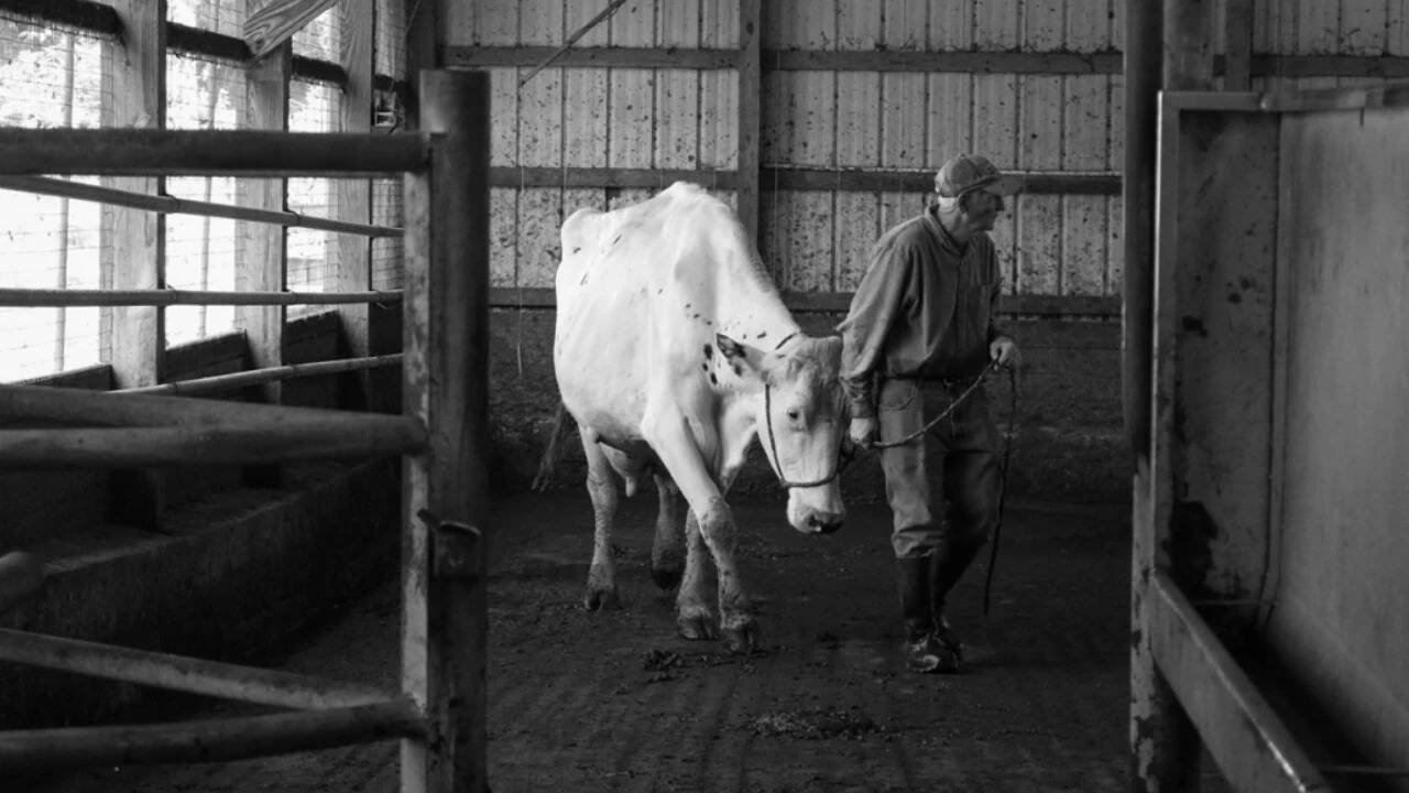 "For some reason, ever since I was a kid I wanted to have a dairy farm,” Biddle said.