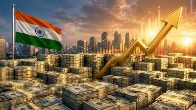 How India built a record forex shield amid the US-Iran war