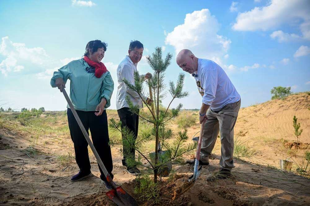 ​From desert to forest: a remarkable friendship across borders.