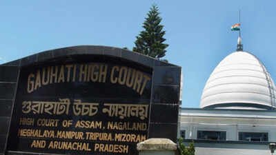The Gauhati High Court Dhaka begins search for missing Assam woman