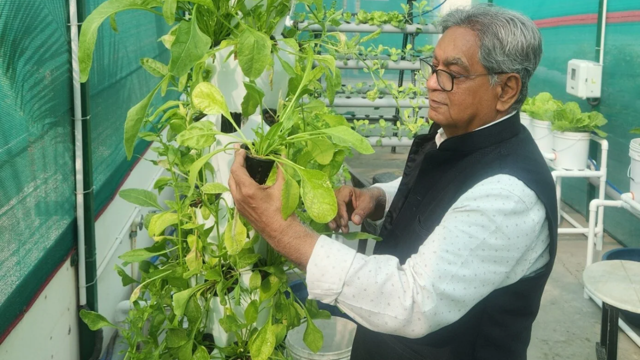 Gera later began training others in indoor saffron cultivation.