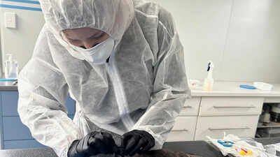 H1N1 dominates flu strains in India, accounts for 3 out of 4 cases: WHO
